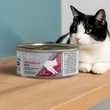 Kép 3/3 - Trovet Renal Oxalate Diet Cat RID Chicken 100g