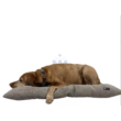 Kép 4/5 - NRDOGS Fully Pillow kutyafekhely
