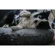 Kép 6/7 - NRDOGS Eco Recycled Kutyafekhely