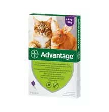Advantage 80 spot-on macskáknak és nyulaknak 4-8kg között – 4 adag