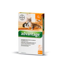 Advantage 40 spot-on macskáknak és nyulaknak 4kg-ig – 4 adag