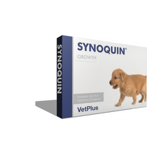 Synoquin Growth rágótabletta 60db