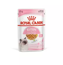 Royal Canin Kitten Jelly zselés nedveseledel – 12x85g