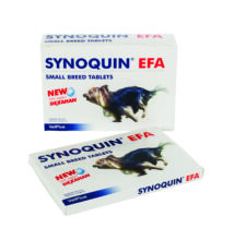 Synoquin EFA Small Breed ízületvédő tabletta 30 db