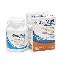 GLUTAMAX FORTE Tabletta 40 db kutyák részére