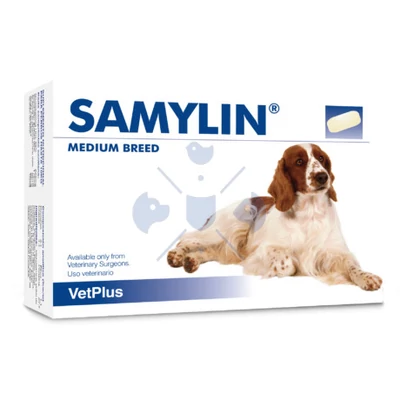 Samylin Medium Breed tabletta 30db