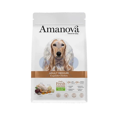 AmaNova Dog LG Medium Adult Exquisite Chicken & Quinoa 12 kg