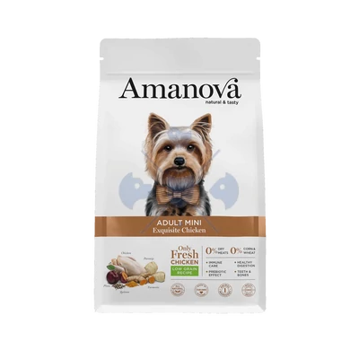 AmaNova Dog LG Mini Adult Exquisite Chicken & Quinoa 2 kg