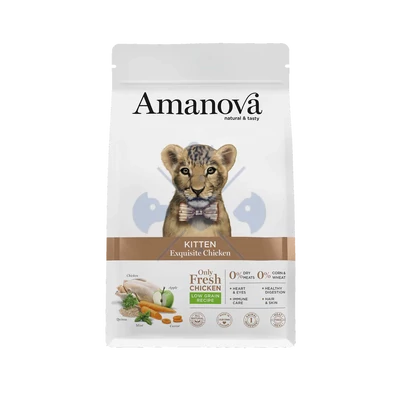 AmaNova Cat LG Kitten Exquisite Chicken & Quinoa 1,5 kg