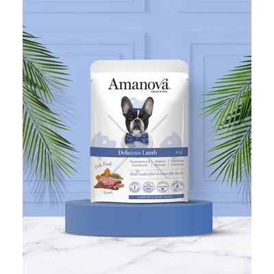 Amanova Dog GF Adult Delicious Lamb&Pumpkin P15 100 g