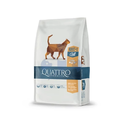 Quattro Cat Adult csirke 1,5kg