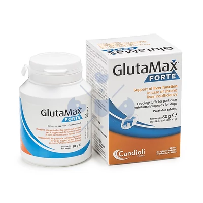GLUTAMAX FORTE Tabletta 40 db kutyák részére
