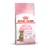 Royal Canin Kitten Sterilised 400g