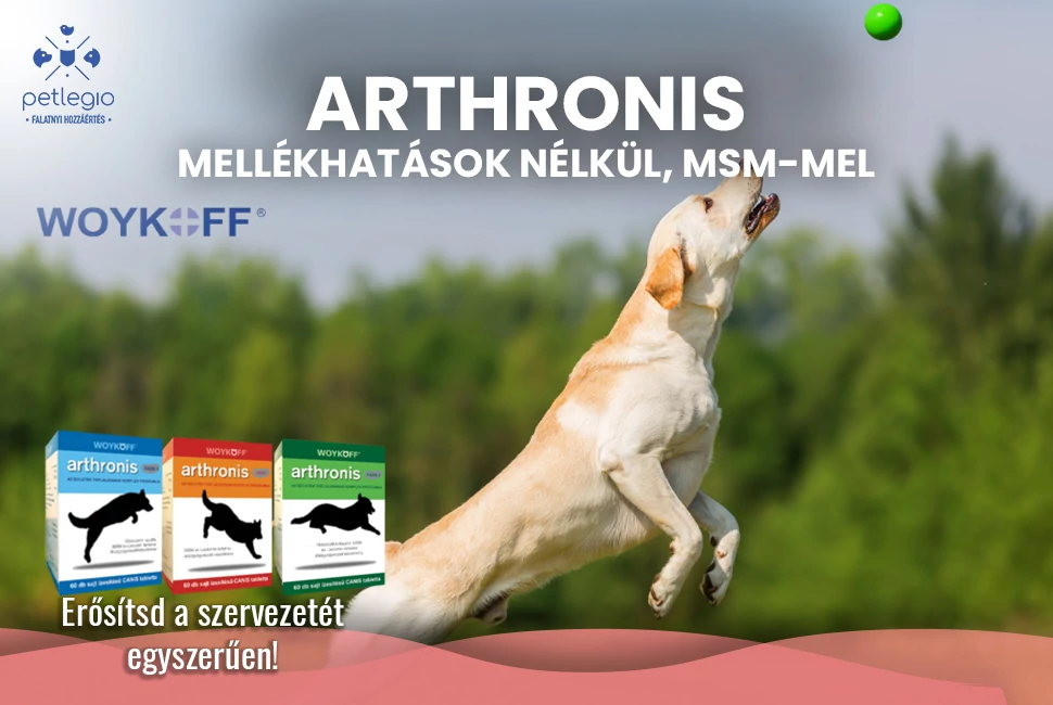 Arthronis