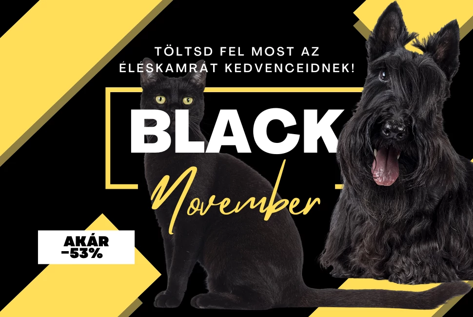 BLACK NOVEMBER