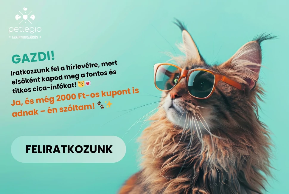 Hírlevél feliratkozás