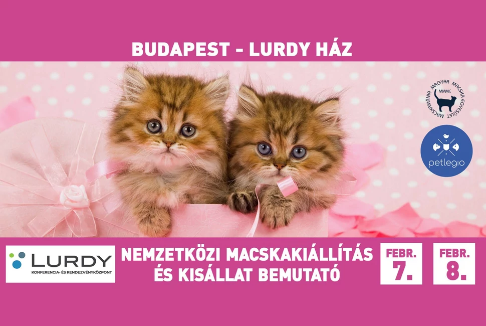 Petlegio Macskakiállítás