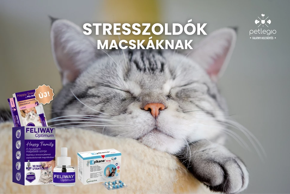 Stresszoldók macskáknak