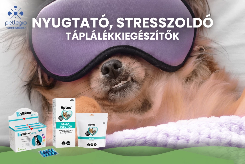 Stresszoldók