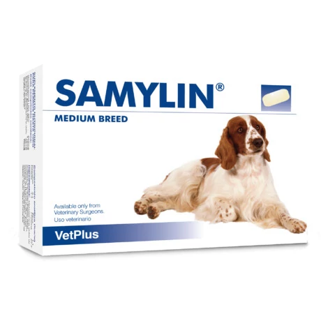 Samylin Medium Breed tabletta 30db