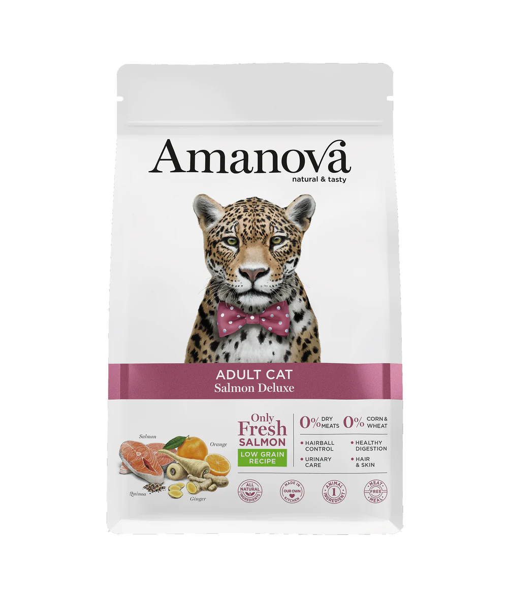 AmaNova Cat LG Adult Salmon Deluxe 6 kg