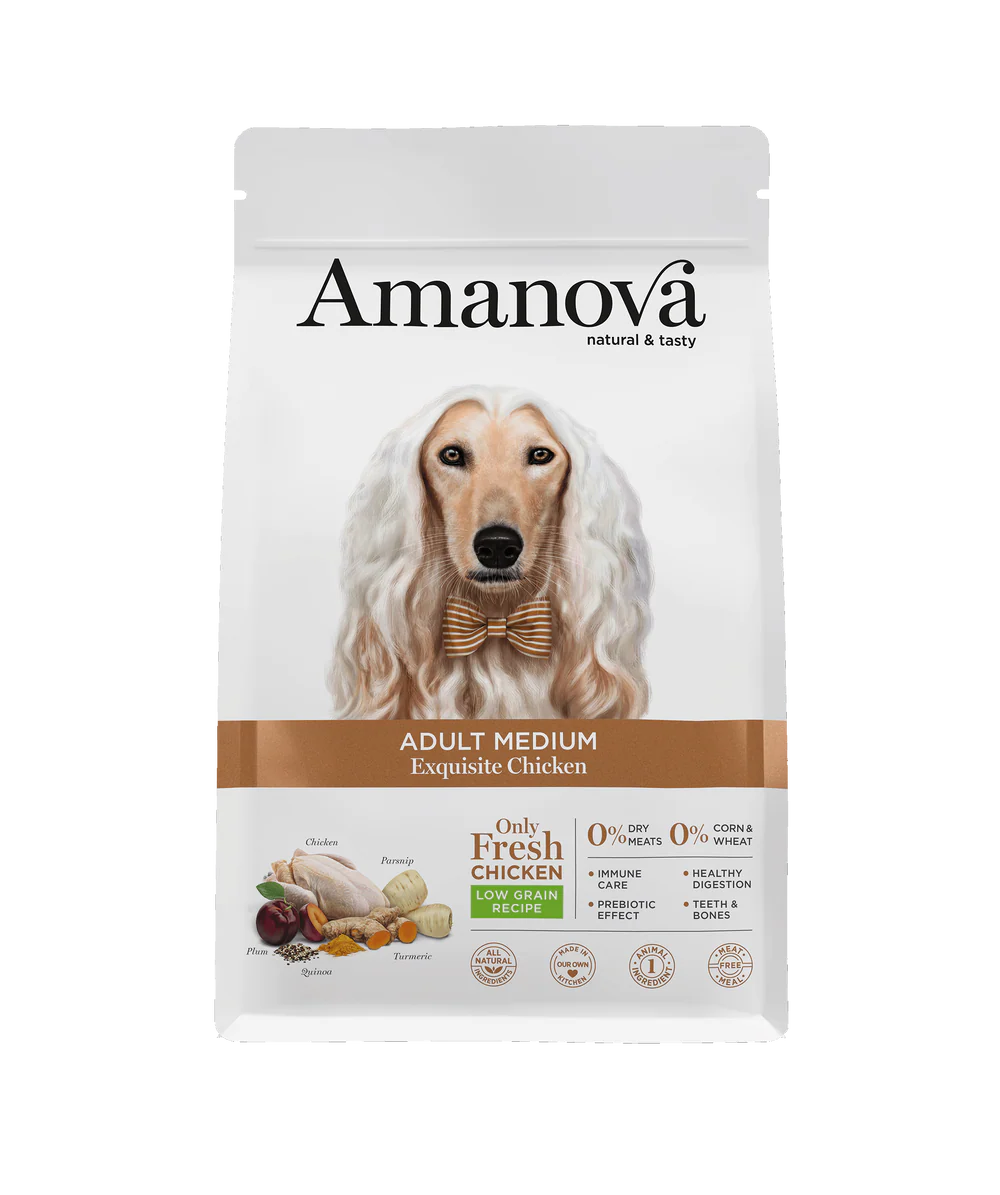 AmaNova Dog LG Medium Adult Exquisite Chicken & Quinoa 12 kg