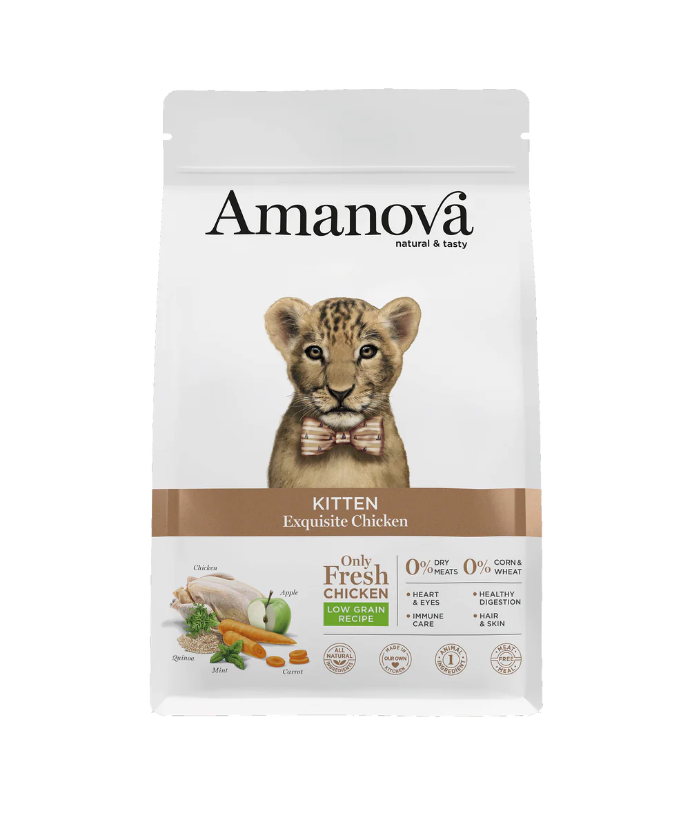 AmaNova Cat LG Kitten Exquisite Chicken & Quinoa 1,5 kg