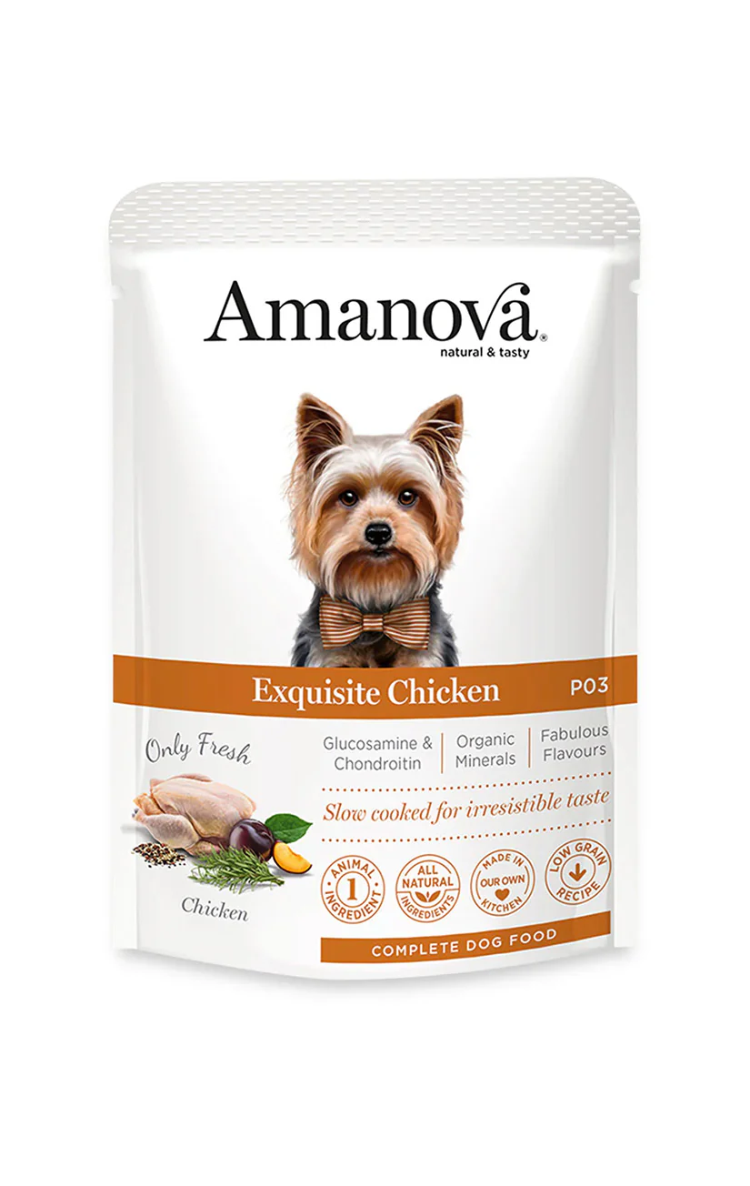 AmaNova Dog GF Pouch Adult Exquisite Chicken P03 100g