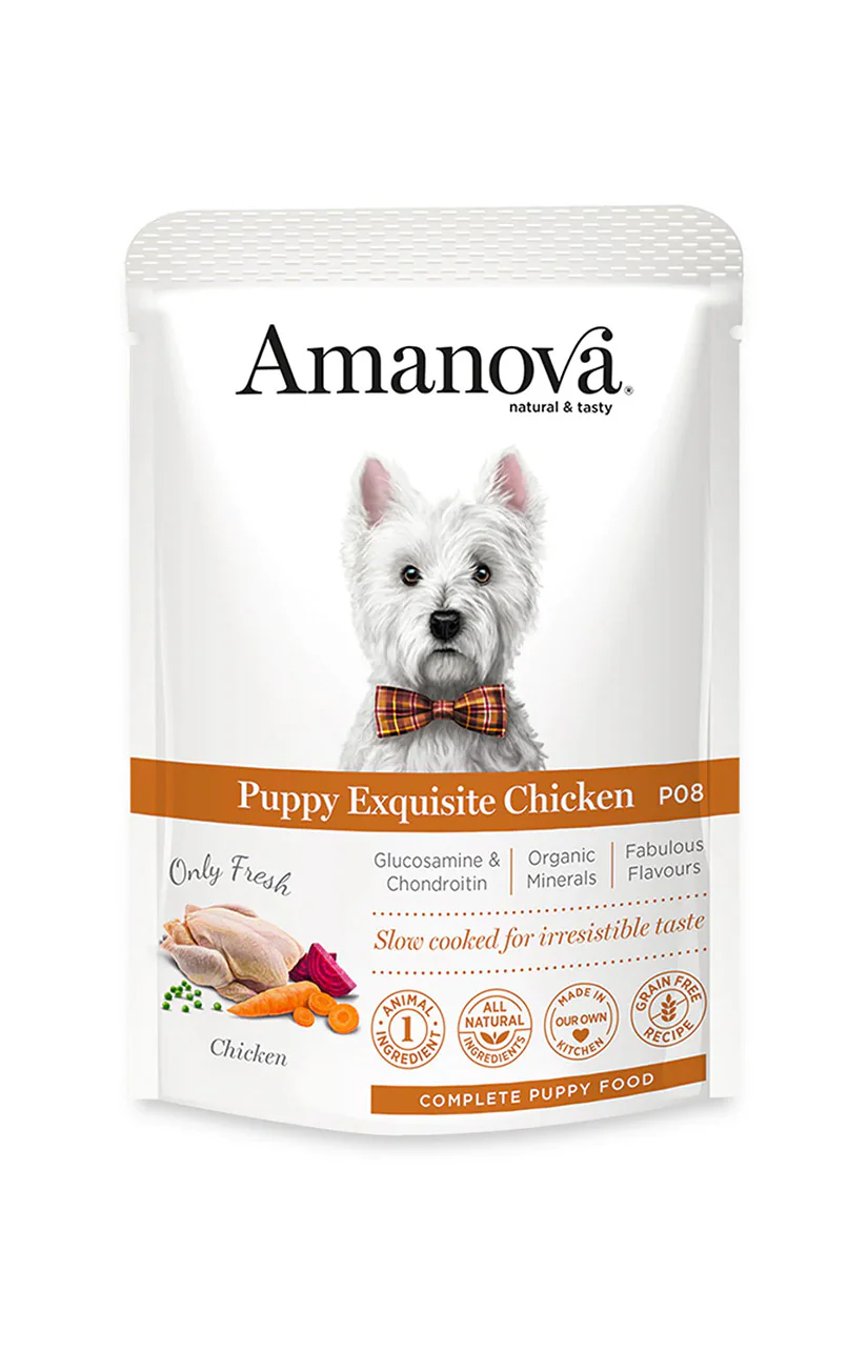 AmaNova Dog GF Pouch Puppy Exquisite Chicken P08 100 g