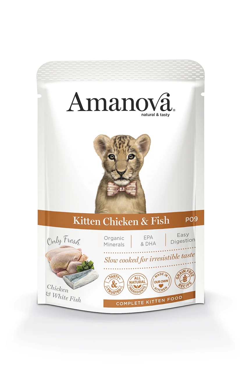 AmaNova Cat GF Pouch P09 Kitten Chicken & Fish 85g