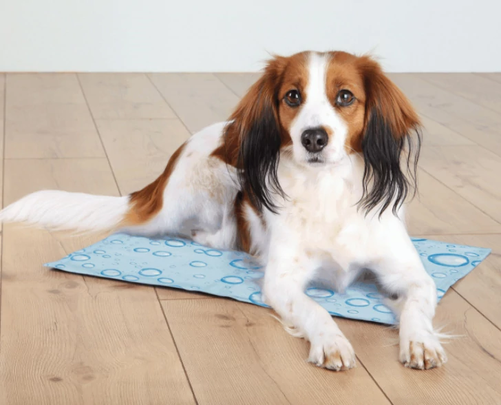 Trixie Cooling Mat Drops 50x40cm - M