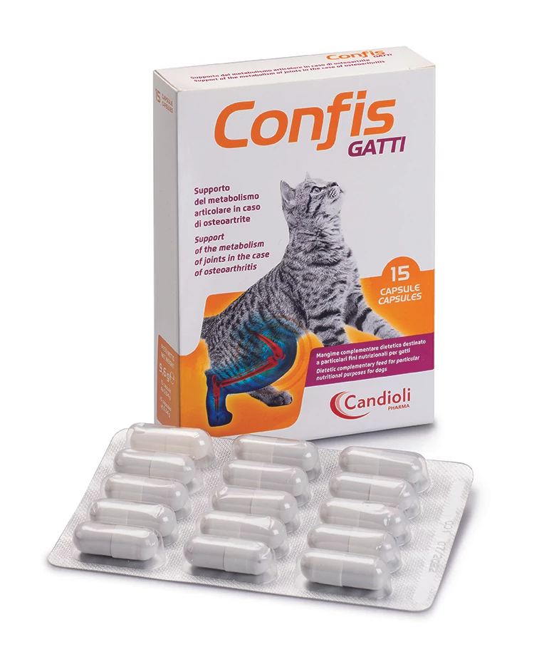 Candioli Confis Cat ízületvédő 15db